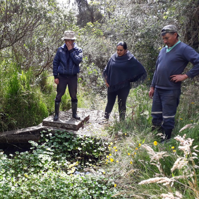 Equipo de campo inspeccionando una fuente de agua en zona rural como parte de actividades de campo.