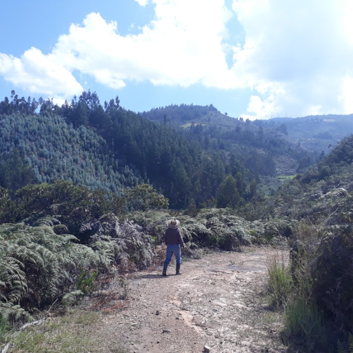 Profesional de campo observando el entorno rural durante actividades de evaluación territorial.