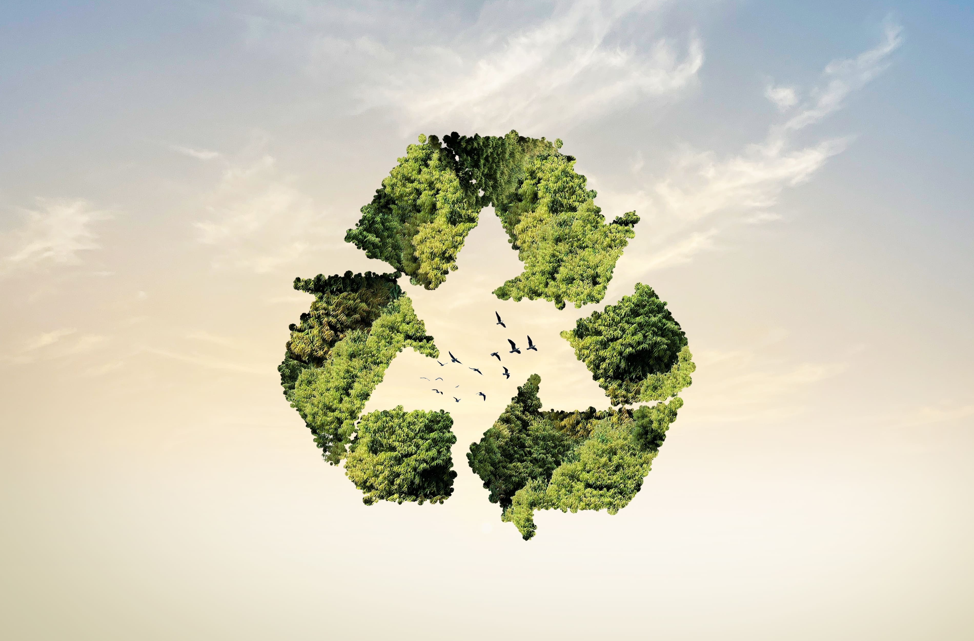 ecofisiologia-colombia