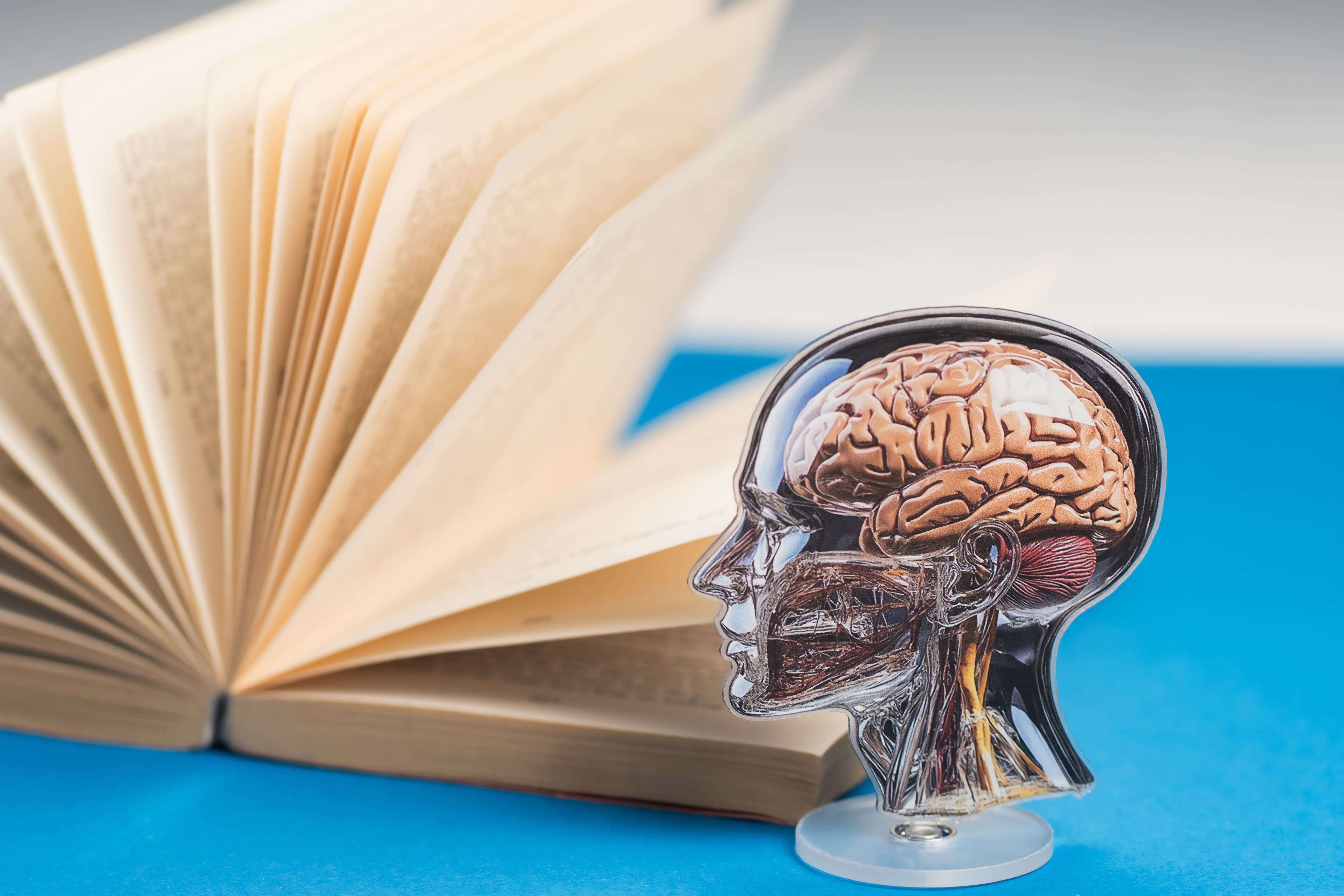 estudiar-para-ser-psicologo