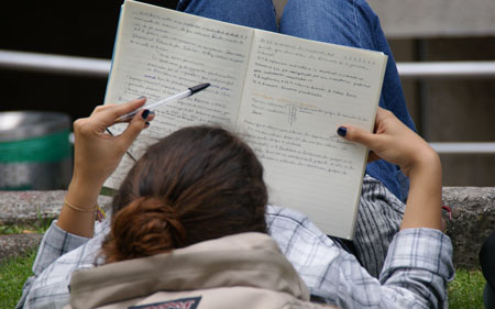 Planes de estudio flexibles