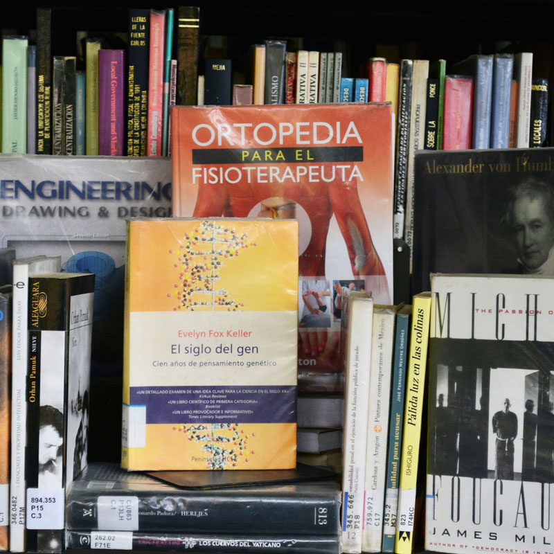 [#if IMAGEN??]
    [#if IMAGEN?is_hash]
        [#if IMAGEN.alt??]
            ${IMAGEN.alt}
        [/#if]
    [/#if]
[/#if]