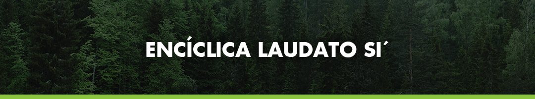 Encíclica Laudato Si’