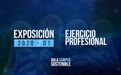 Ejercicio Profesional | Exposición 2020 – 01