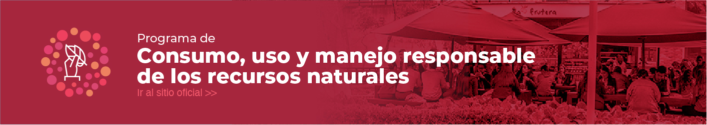 Pagina Javeriana Sostenible_20
