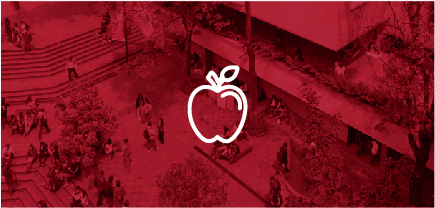 Pagina Javeriana Sostenible_24
