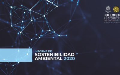 Informe de Sostenibilidad 2020