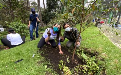 Líderes del cuidado ambiental en La Pontificia Universidad Javeriana.