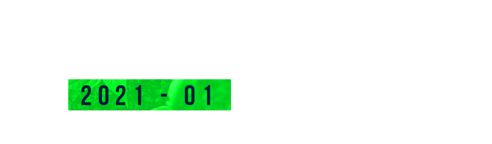 Problemas Ambientales 2021-01