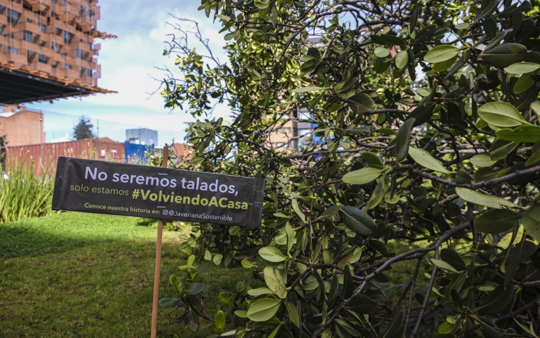 La Javeriana reafirma su compromiso ecológico con su campaña #VolviendoACasa